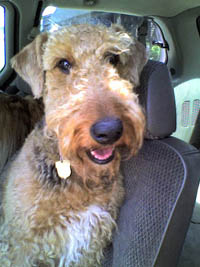 maggie