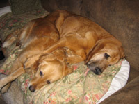 nap time