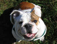 Winnie.jpg (74113 bytes)
